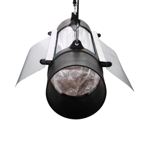 култуб в ташкенте