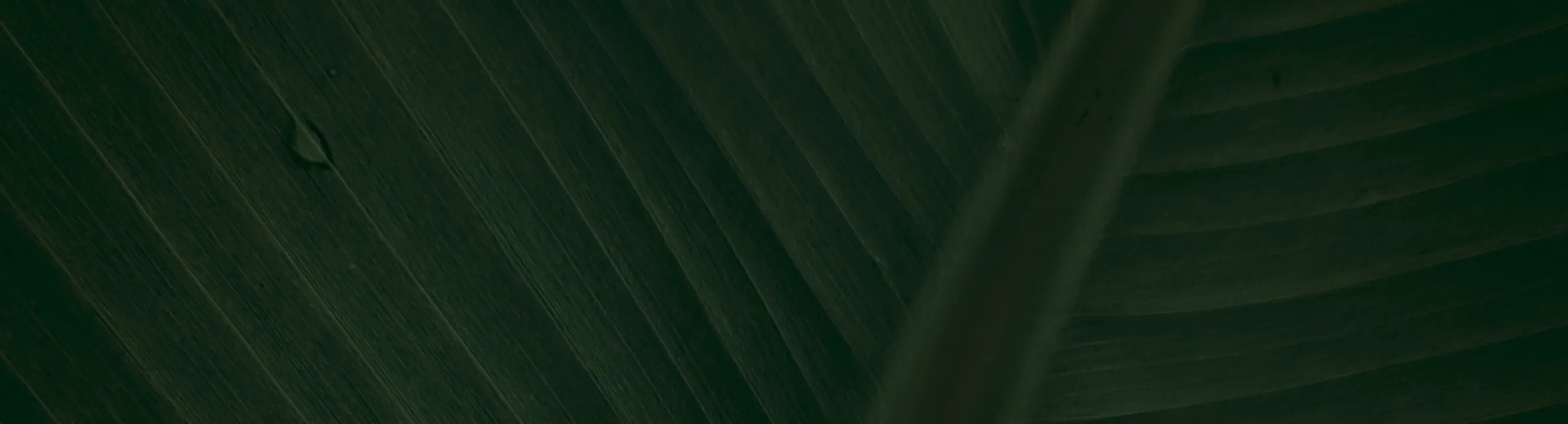 Стимулятор Flawless Finish Advanced Nutrients 250 мл