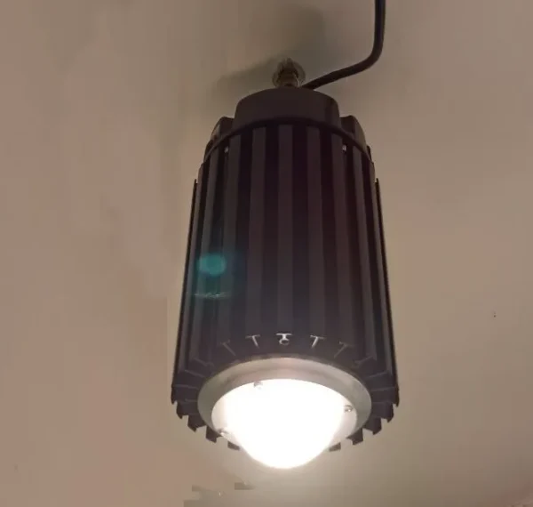 Citizen 200w COB Full Spectrum