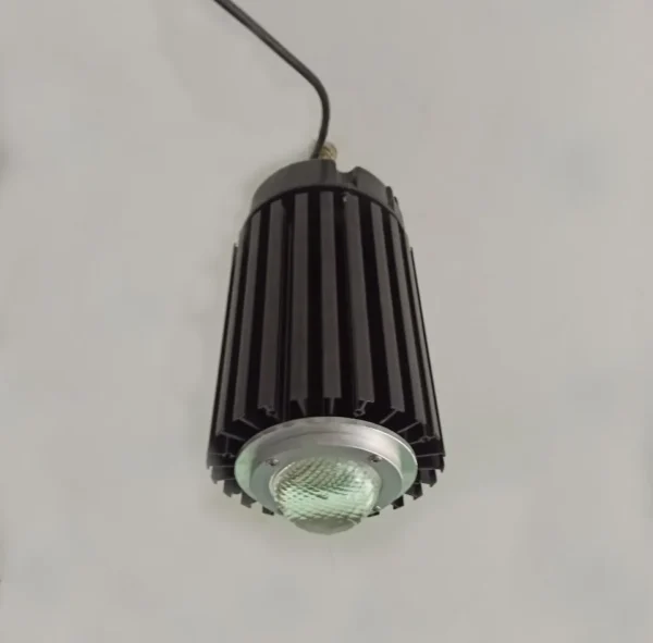 Citizen 200w COB Full Spectrum