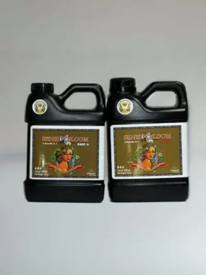 SENSI BLOOM COCO A&B (PH PERFECT) 0,5L