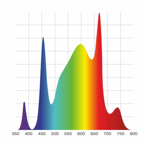 Nyota Proto 170 Вт