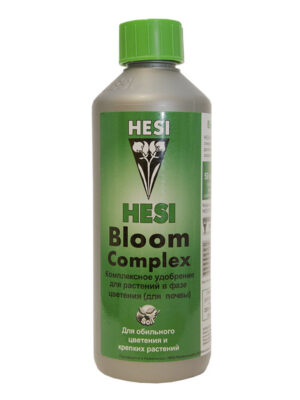 Bloom complex Bloom complex