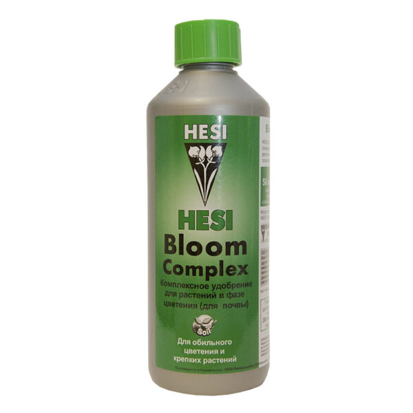 Bloom complex