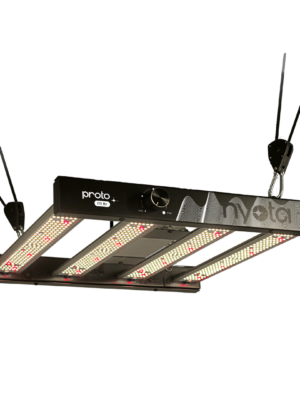 Nyota Proto 170 Вт