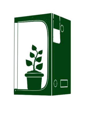 гроубоксы в ташкенте